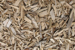 biomass boilers Wildwood