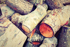 Wildwood wood burning boiler costs